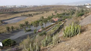 Dreamland Studios Canarias recibe informe ambiental para su complejo en Telde